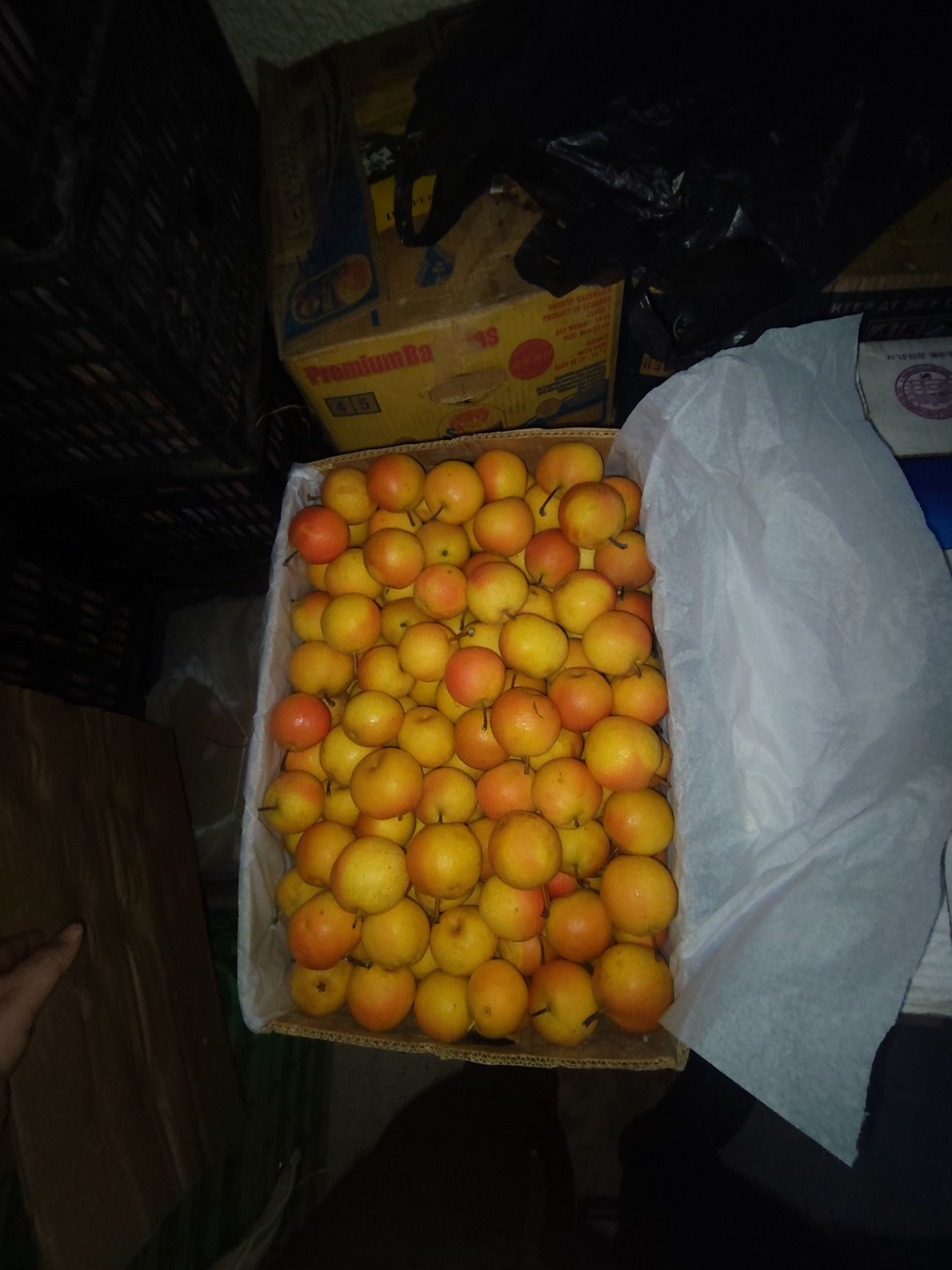 南果梨 20一箱40斤赶集挣钱