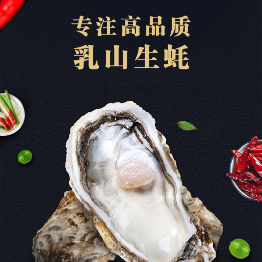 深圳三倍体生蚝 山东乳山生蚝深圳东莞广州直供，欢迎合作咨询！