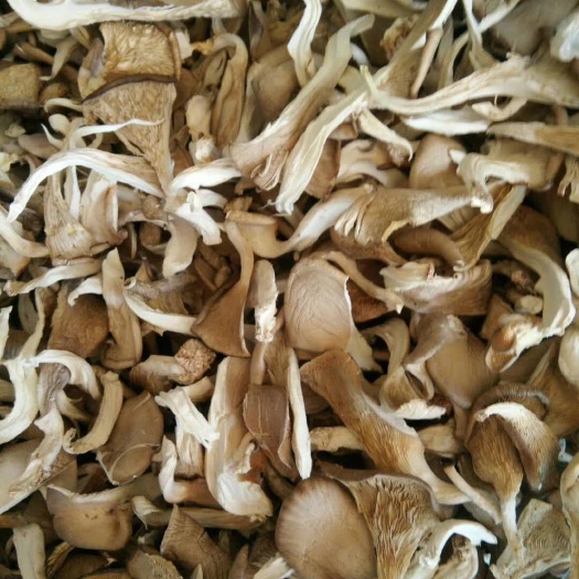 平泉市干平菇  平菇条，去根平菇条，干净整齐。