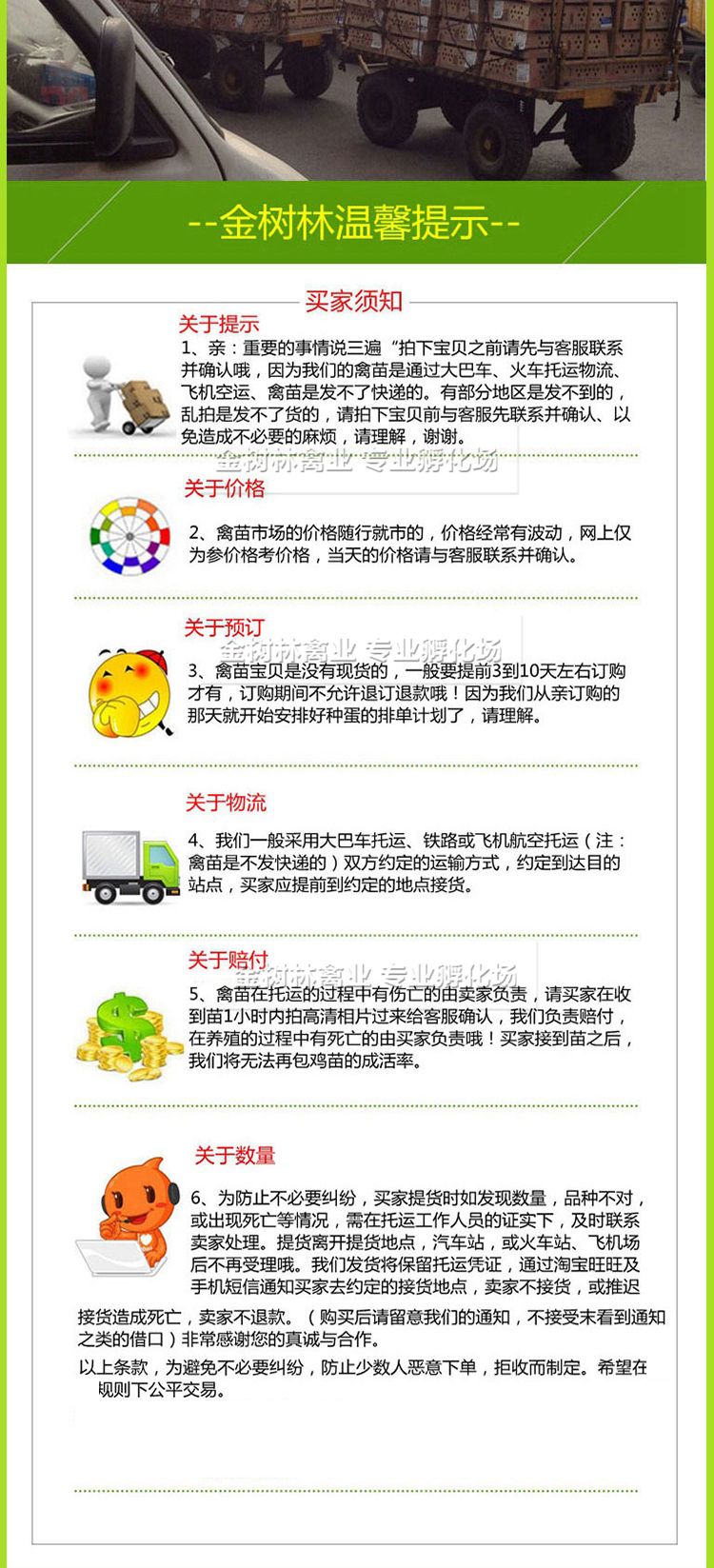 优质金芦花鸡苗黑芦花红芦花土鸡苗，提供养殖技术，质量保证