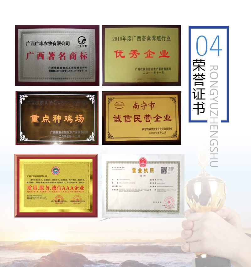 良凤花鸡苗，快大型鸡苗，出栏快，包打疫苗