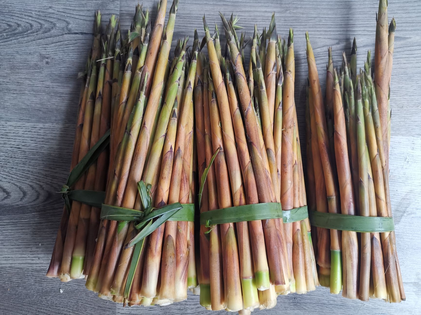 小竹笋  早春野生小笋 翡翠竹笋 鲜嫩脆爽口 反季节小笋