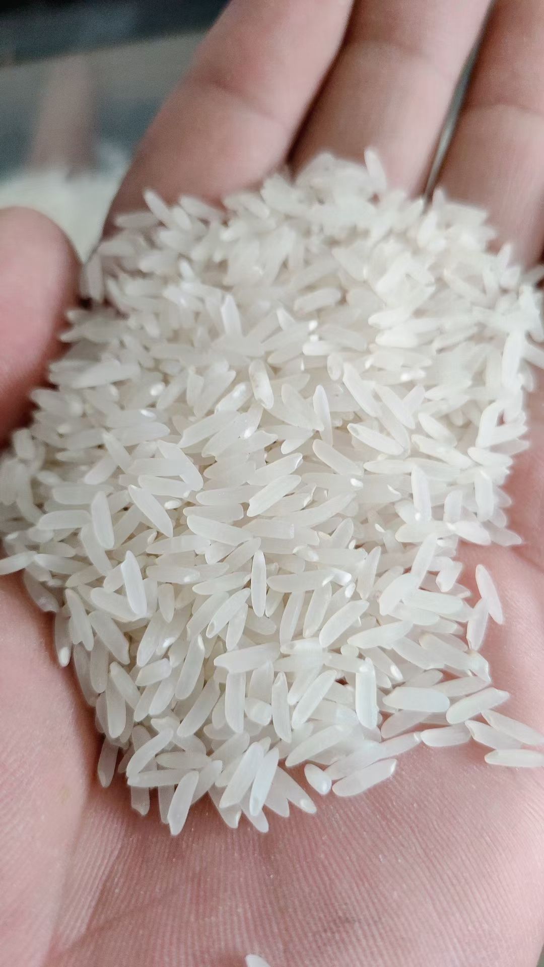 籼米  软粘