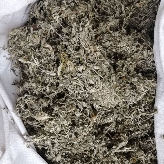 广州 艾叶  足干货  干度好  颜色
