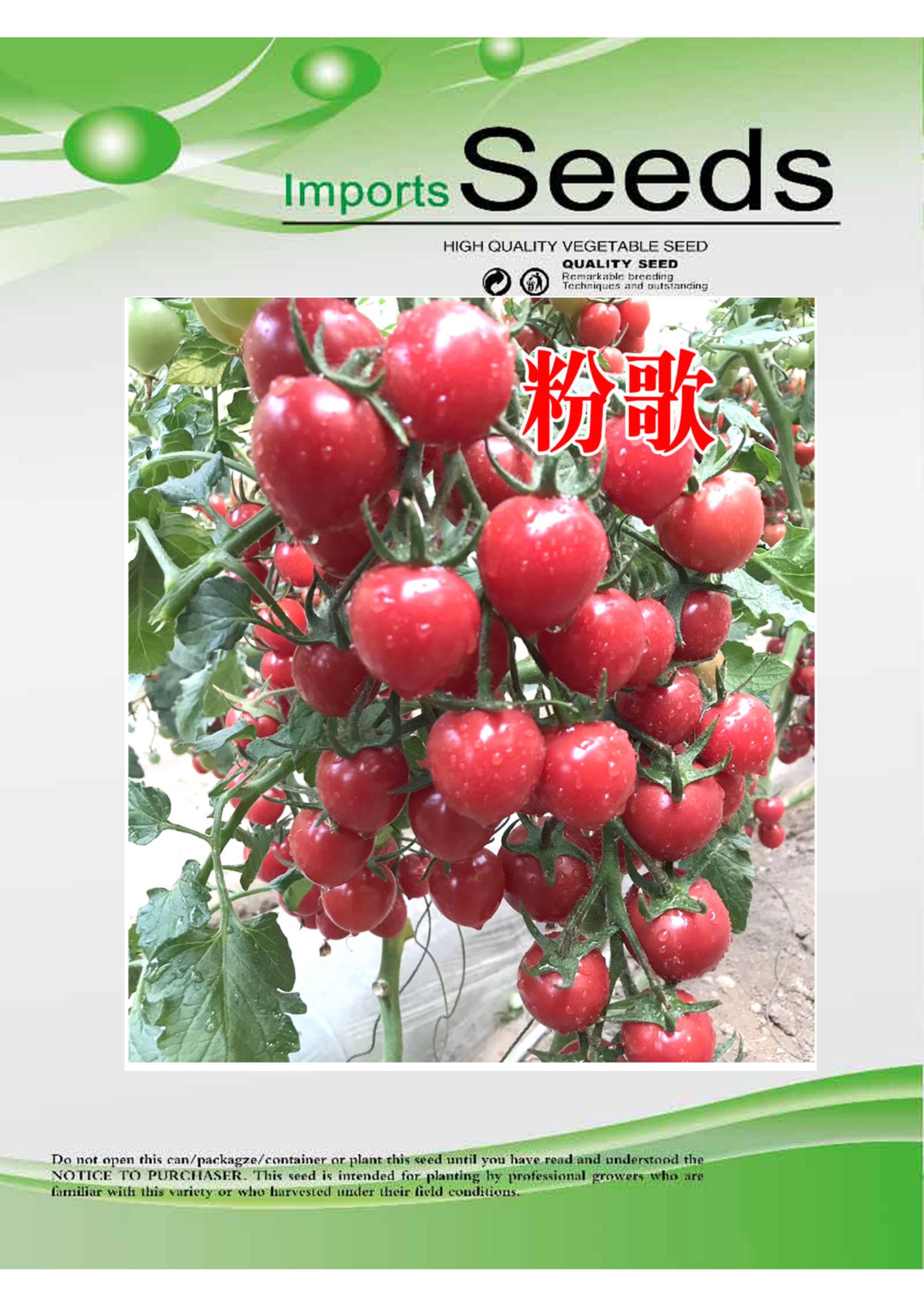 樱桃番茄种子  圆形小番茄种子，种植园基地