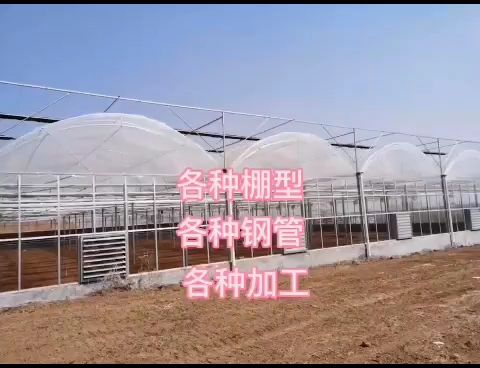  钢结构大棚镀锌大棚养殖大棚蔬菜大棚冬暖大棚温室大棚厂家