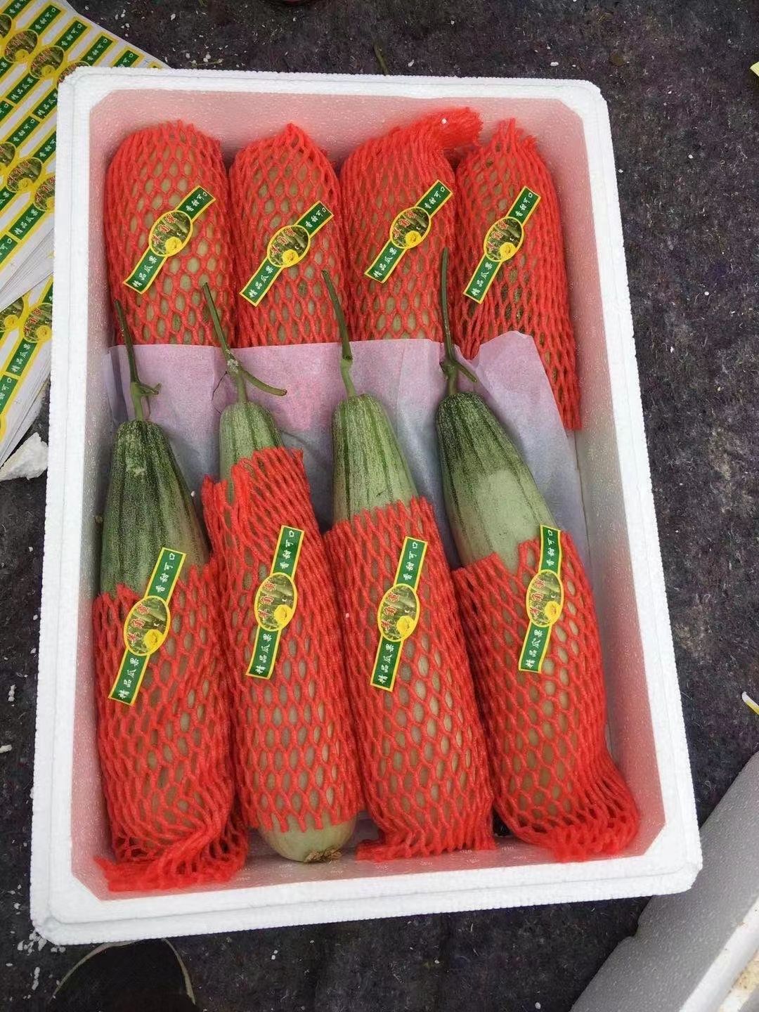 精品羊角蜜甜瓜大量现货，一件代发！