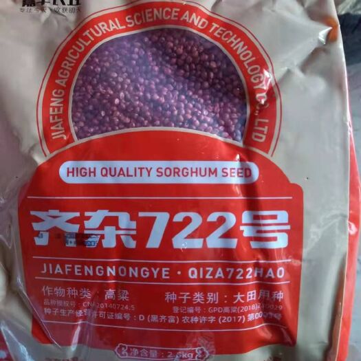 讷河市齐杂722号高粱种子  齐杂722高粱种子