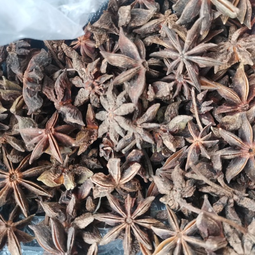 清徐县干枝八角