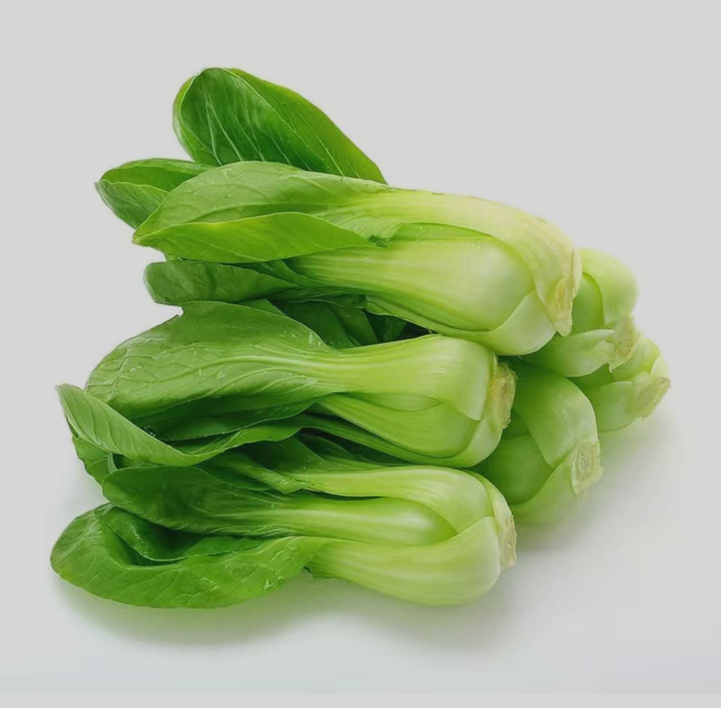 上海青种子 油菜上海青鸡毛菜 蔬菜种子阳台种菜盆栽春秋四季播菜 春夏秋冬