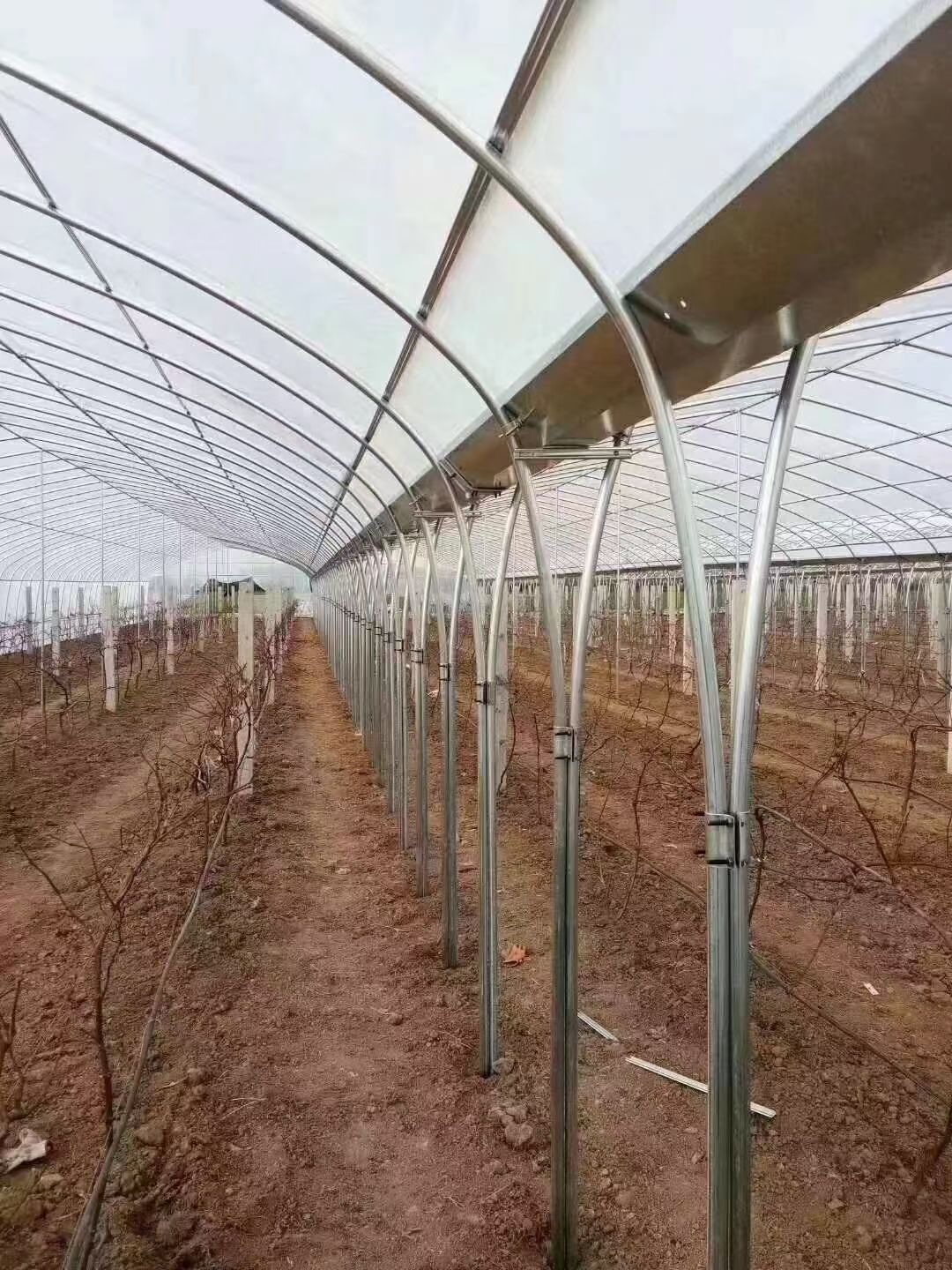  钢结构大棚镀锌大棚养殖大棚蔬菜大棚冬暖大棚温室大棚厂家