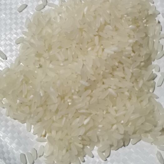 泰来县粳米 黑龙江省齐齐哈尔市泰来县 一等品 一季稻 粳米 