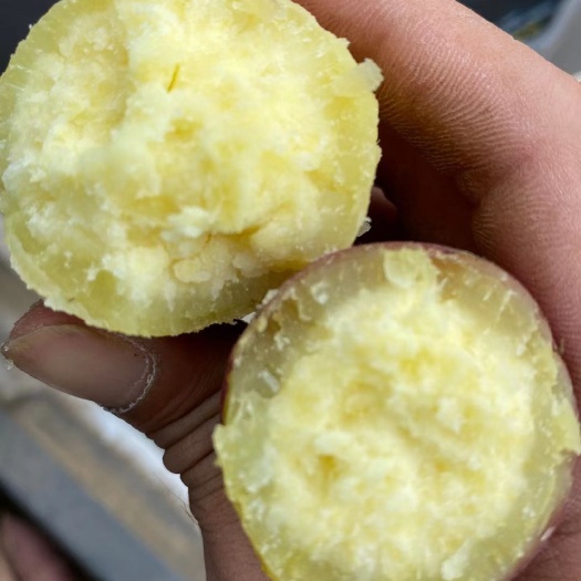 澄迈县板栗薯  澄迈桥头富硒地瓜