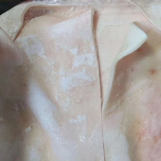 湘潭国产猪皮肚皮背皮新鲜冷冻猪皮精猪皮高品质干净整张猪肉皮20斤