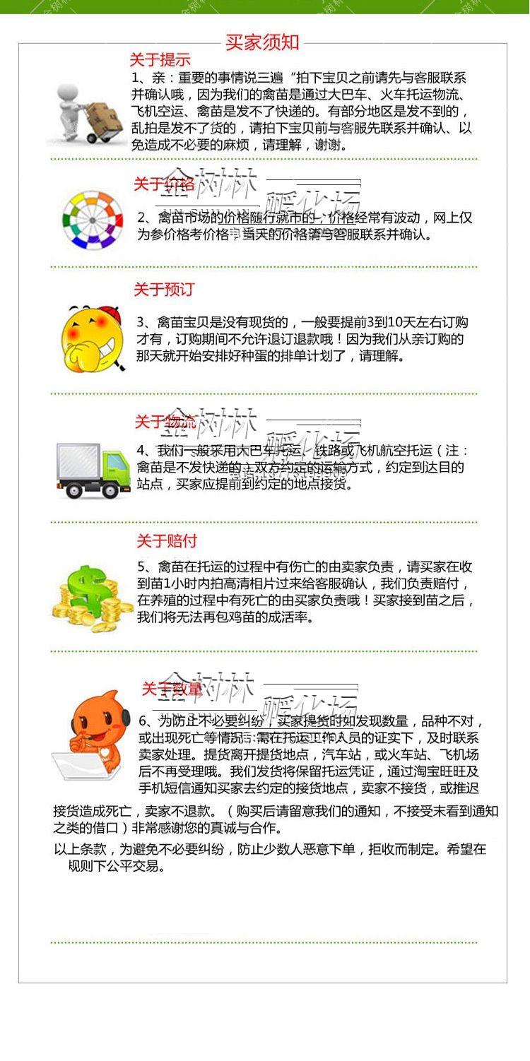 供应纯种雪花鸡苗 彩凤鸡苗 稻花鸡苗，提供养殖技术。