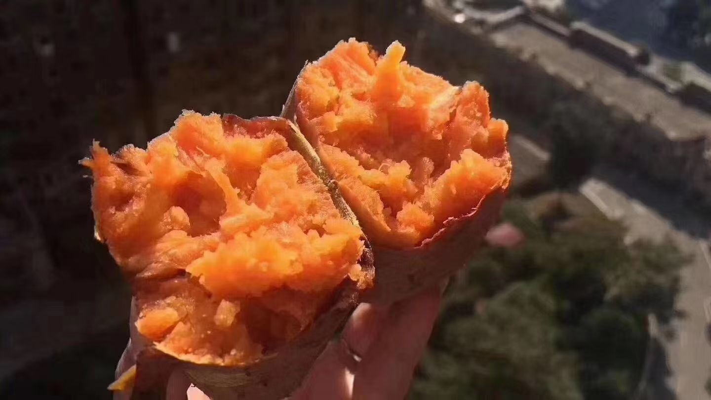 龙薯 福建省漳州市漳浦县 混装通货 红皮 