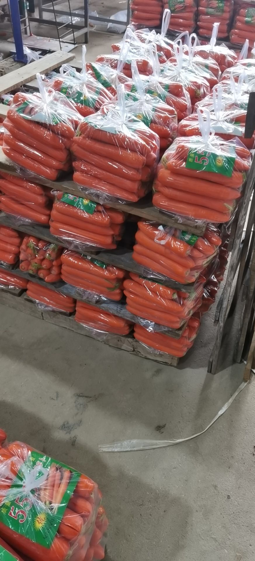 七寸红胡萝卜 福建省厦门市翔安区