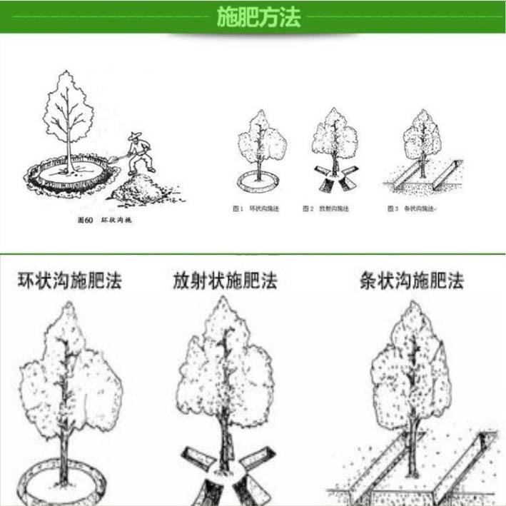 有机肥厂家直销   果蔬有机菌肥   增产增收  抗病抗逆