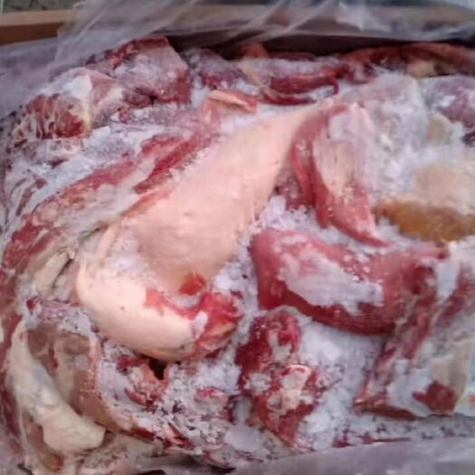 宁津县鲜驴肉  巴西驴肉，精品品驴肉，纯驴肉