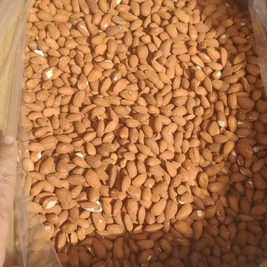 莎车县莎车巴旦木仁原味巴旦木仁新鲜巴旦木仁