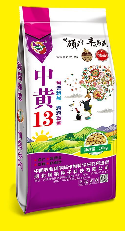 大城县黄豆种子  中黄13.适应性广，高蛋白，产量稳定