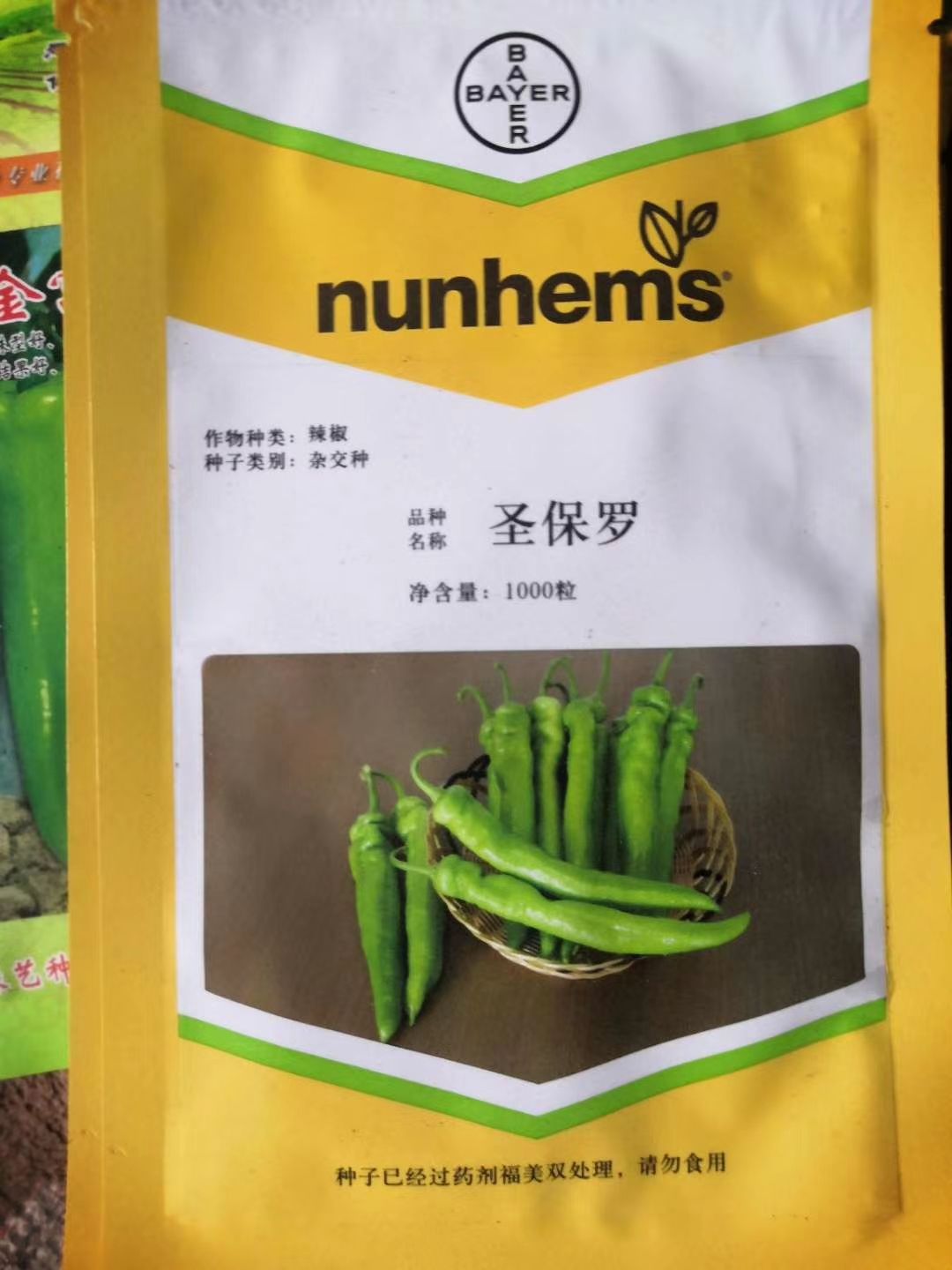 线椒苗 8～10片真叶 
