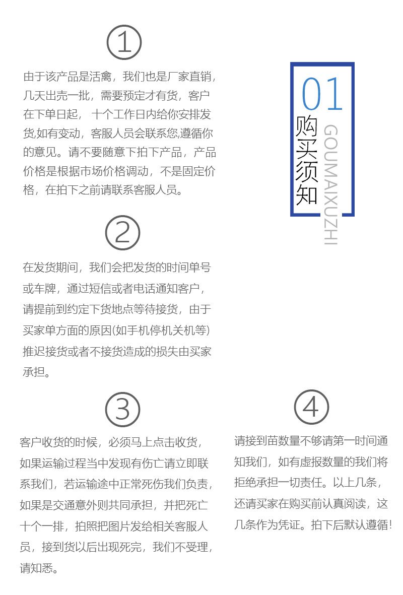 良凤花鸡苗，快大型鸡苗，出栏快，包打疫苗