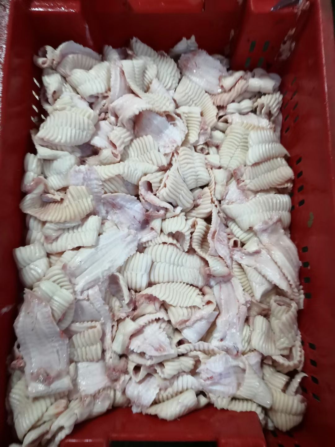 猪杂  天梯精品