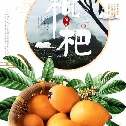 云霄县云霄高山枇杷