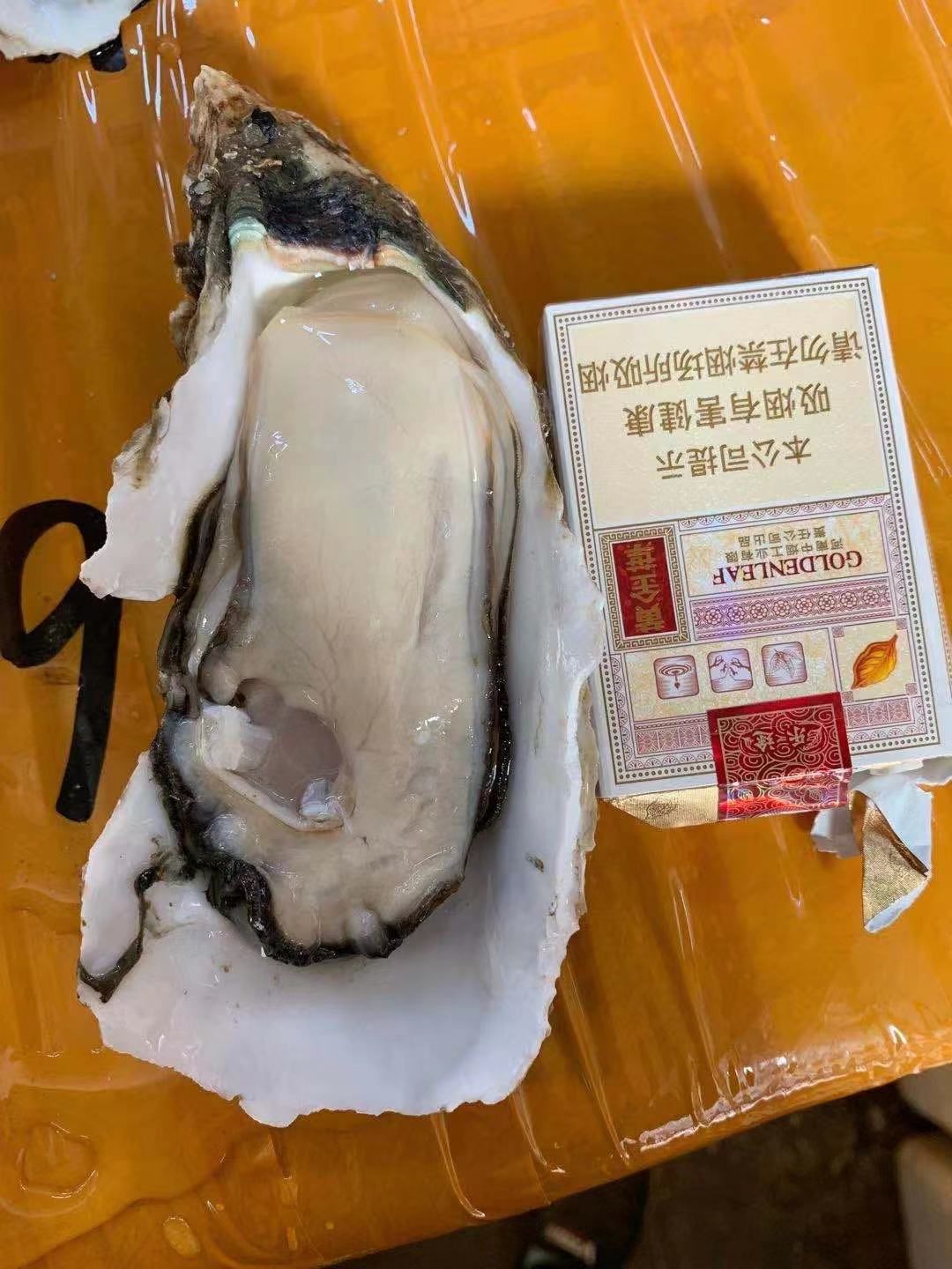 牡蛎  广东生蚝 湛江生蚝 台山生蚝 阳江生蚝 珠海生蚝规格齐全