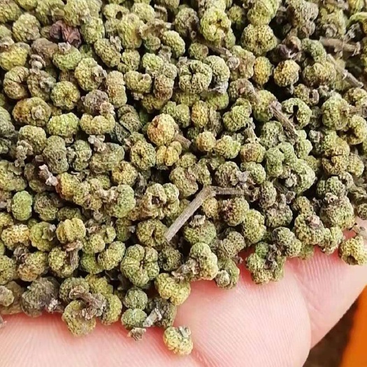 樟树市中花吴茱萸