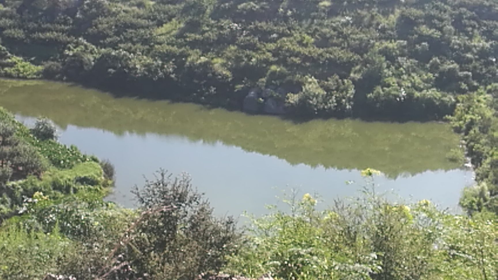 荒地  林地  烟台林地+水库梯田转出租或流转