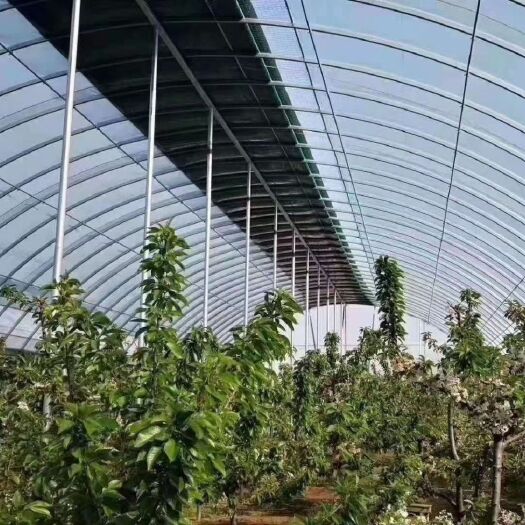 沭阳县大棚骨架  暖棚适合气候寒冷地区，用于瓜果蔬菜种植，反季节瓜果蔬菜种植。