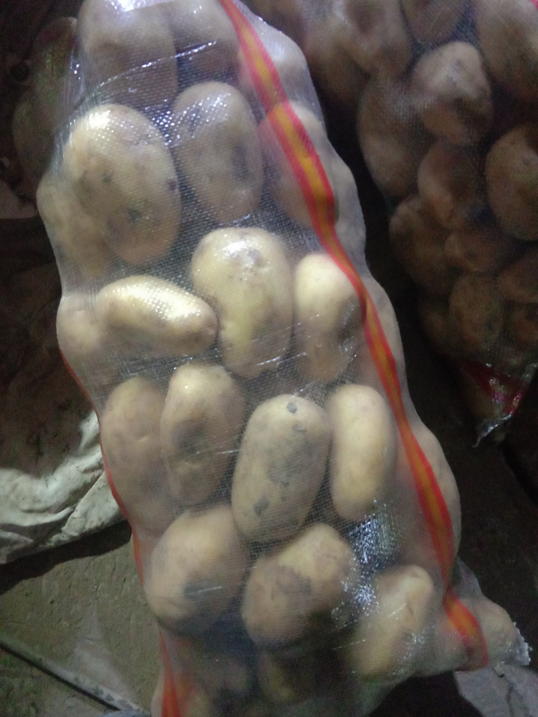 226土豆  精品白心土豆:个头大颜色好薯型优美，沙地种植，物美价廉。