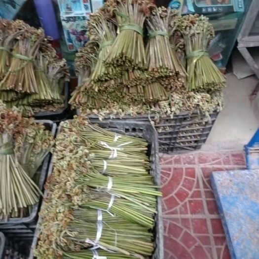 重庆市高山天然蕨菜
