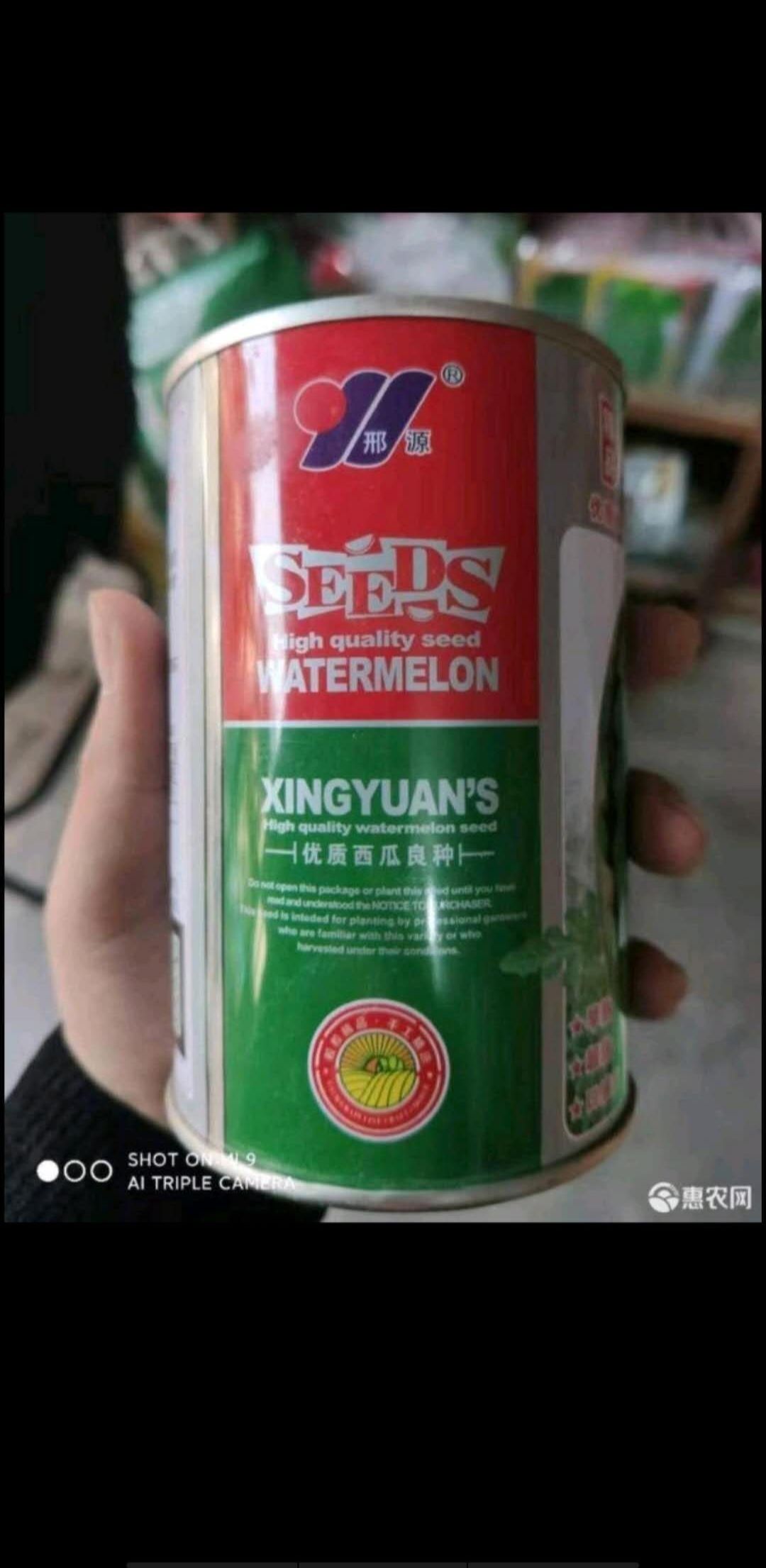  印度甜王西瓜种子，早熟果皮薄，果实耐贮运(三毛钱一粒种子)