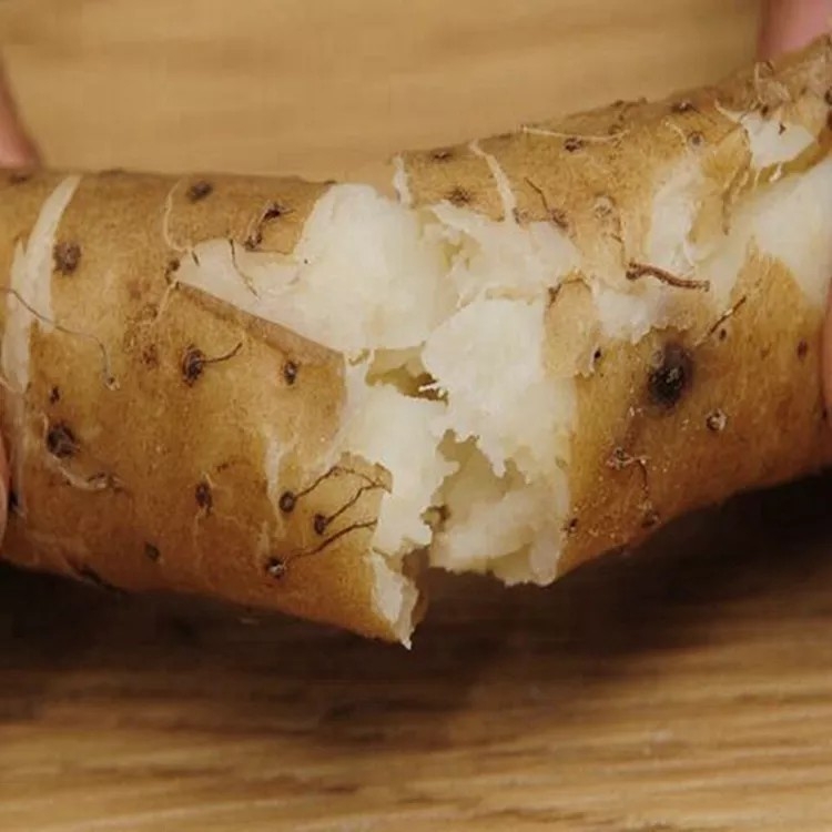 【现货】河北小白嘴粉糯铁棍山药5斤代发铁杆淮山药新鲜蔬菜洋芋