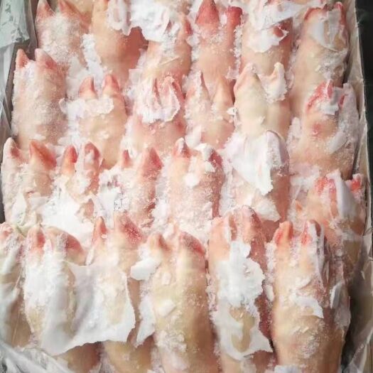 大连猪蹄 28_32个清库便宜出售