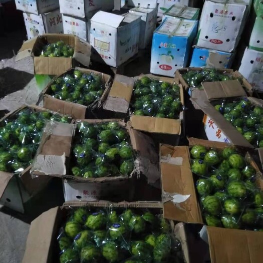 芒市尤力克柠檬 青柠檬有籽无籽彩带亮袋四季供应