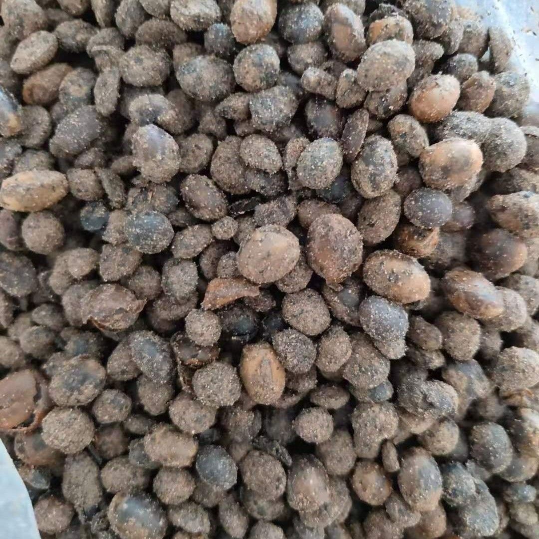 益生菌发酵大豆有机肥厂家