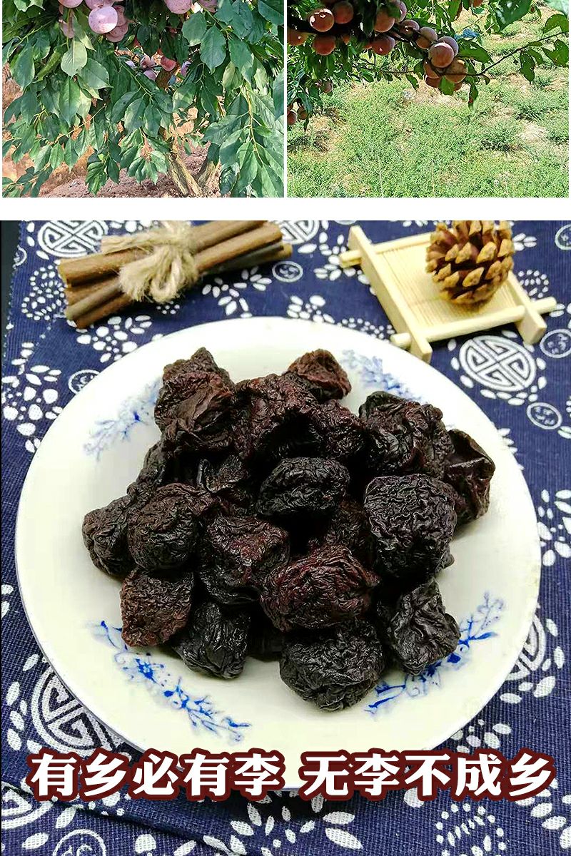 李子干 正宗农家特产芙蓉李 传统晒制 酸甜可口果干 开胃蜜饯