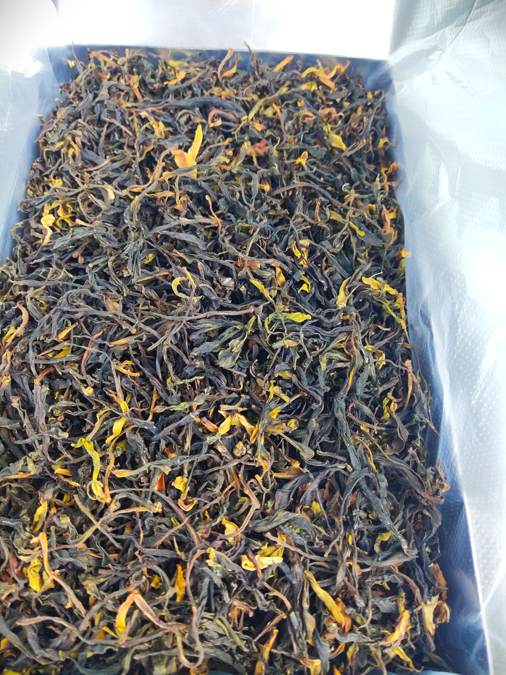 野茶山茶  野绿茶 高山茶