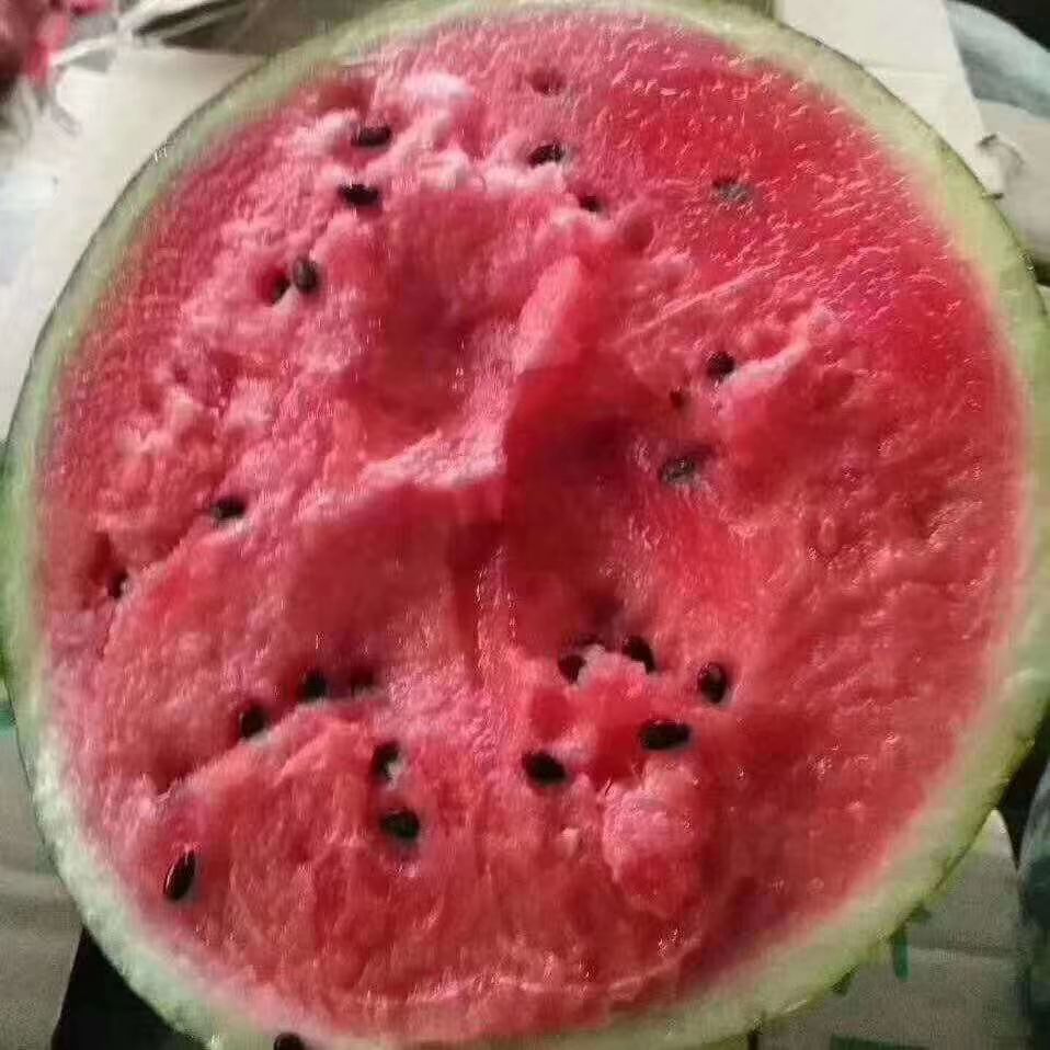 8424西瓜  诚信赢天下