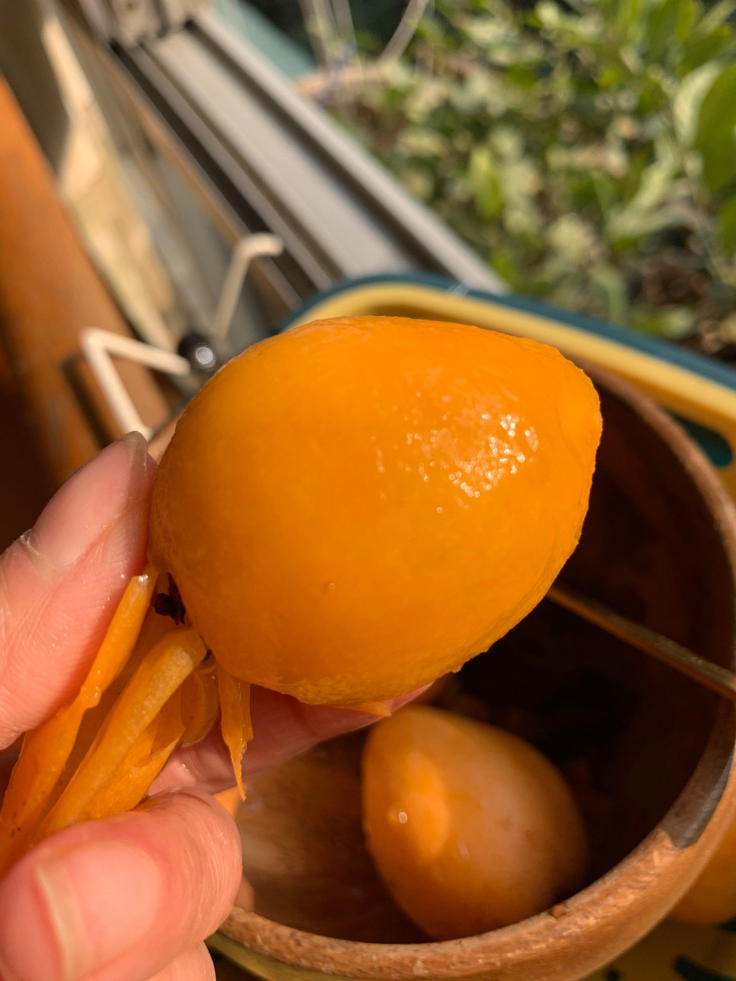  攀枝花米易枇杷3斤5斤包邮微商电商可来