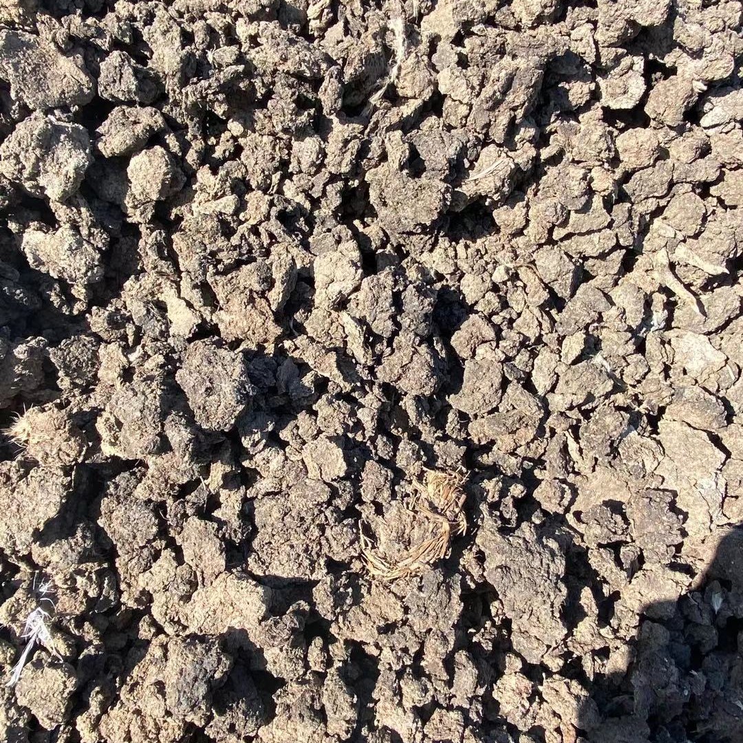 有机发酵，风干肉鸡粪，水泥面晾晒无土，水分低