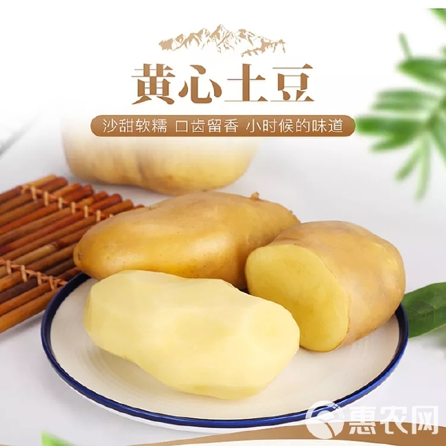 山东黄皮土豆来自蔬菜之乡的美味，农家自种，新鲜直达，沙甜软糯