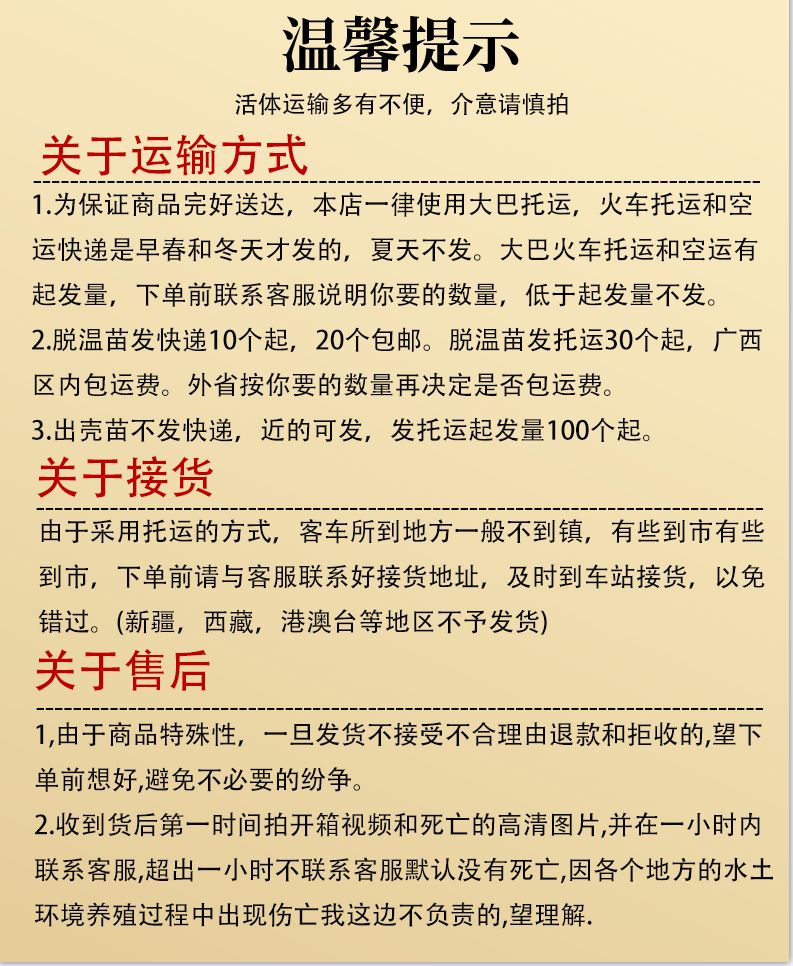 五黑鸡苗  自产自销30天以上脱温五黑绿壳小种蛋鸡苗单重半斤