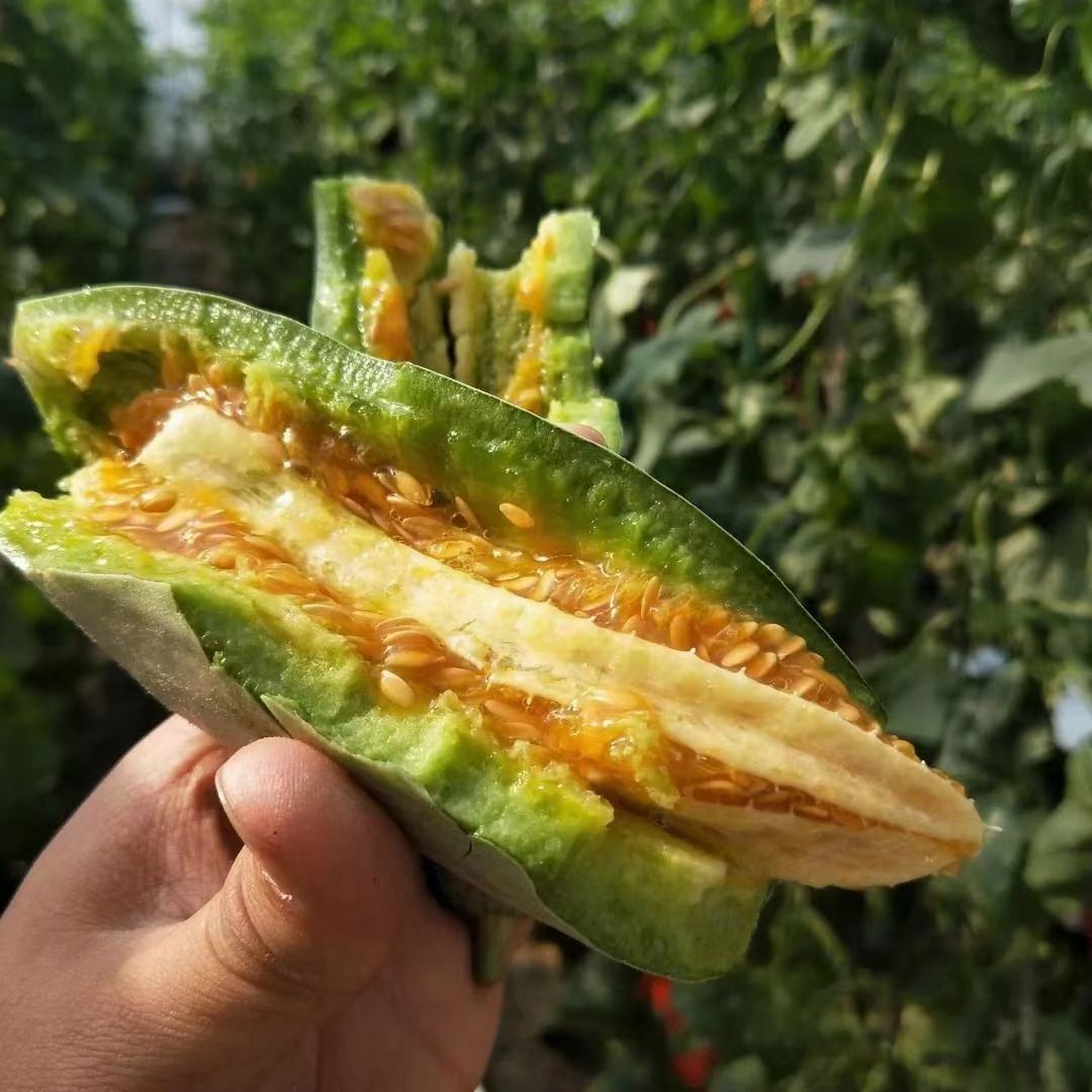 山东羊角蜜甜瓜水果新鲜包邮小密瓜香瓜蜜瓜绿香瓜5斤应当季整箱