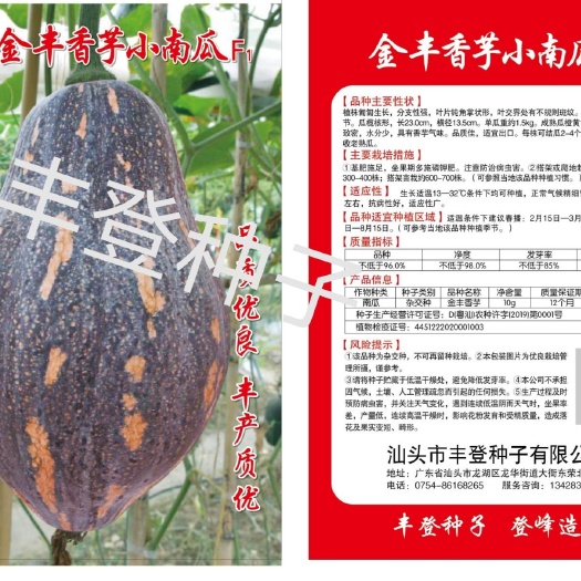 汕头香芋南瓜种子四季蔬菜南瓜种子蜜本