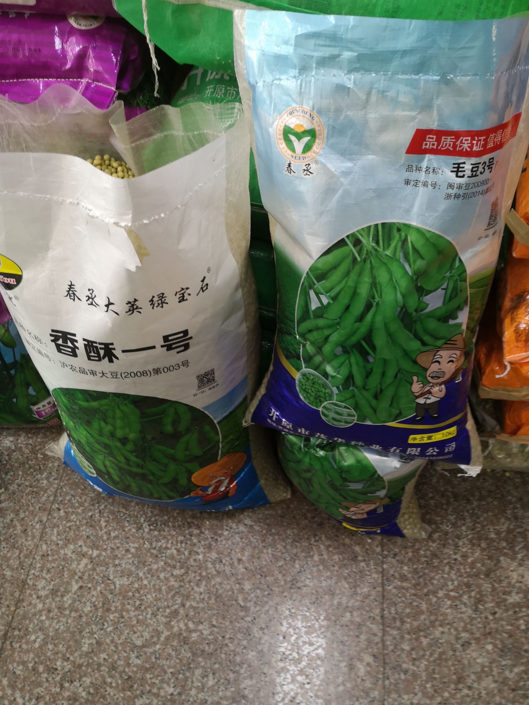 山毛豆种子  铁豆77毛豆种子，蔬菜基地专用品种，采食鲜荚77天左右。